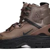 Черевики Nike Acg Air Zoom Gaiadome Gore Tex Brown