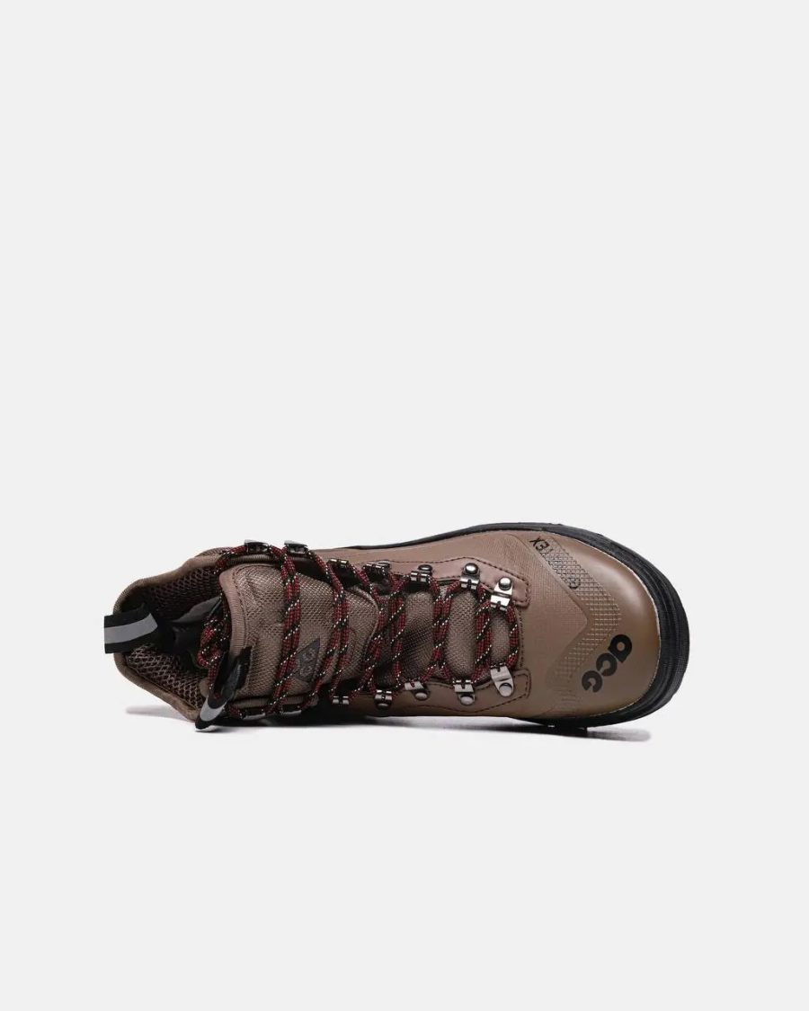 Черевики Nike Acg Air Zoom Gaiadome Gore Tex Brown