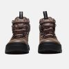 Черевики Nike Acg Air Zoom Gaiadome Gore Tex Brown