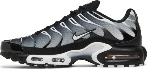 Кроссовки Nike Air Max Plus TN Black Silver
