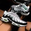 Кроссовки Nike Air Max Plus TN Silver/Fresh Mint