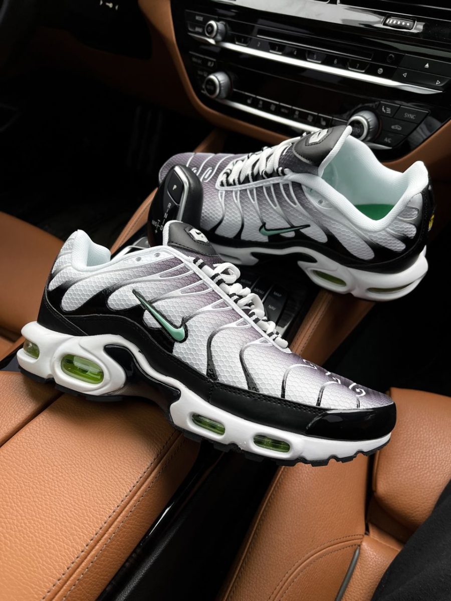 Кроссовки Nike Air Max Plus TN Silver/Fresh Mint