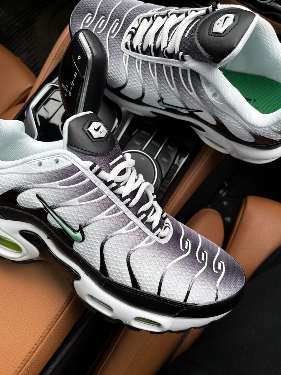Кроссовки Nike Air Max Plus TN Silver/Fresh Mint