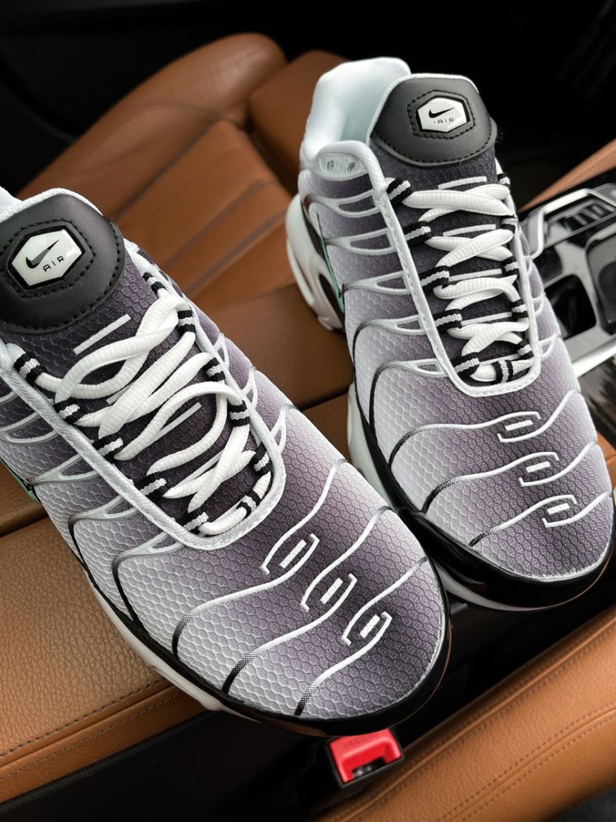Кроссовки Nike Air Max Plus TN Silver/Fresh Mint