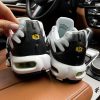 Кроссовки Nike Air Max Plus TN Silver/Fresh Mint