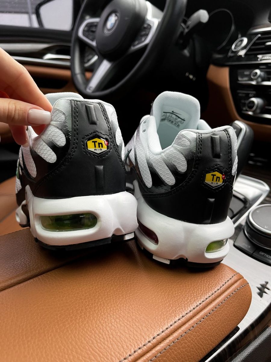 Кроссовки Nike Air Max Plus TN Silver/Fresh Mint