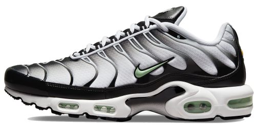 Кросівки Nike Air Max Plus TN Silver/Fresh Mint