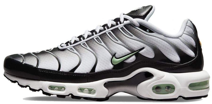 Кроссовки Nike Air Max Plus TN Silver/Fresh Mint