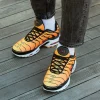 Кросівки Nike Air Max Plus TN Sunset