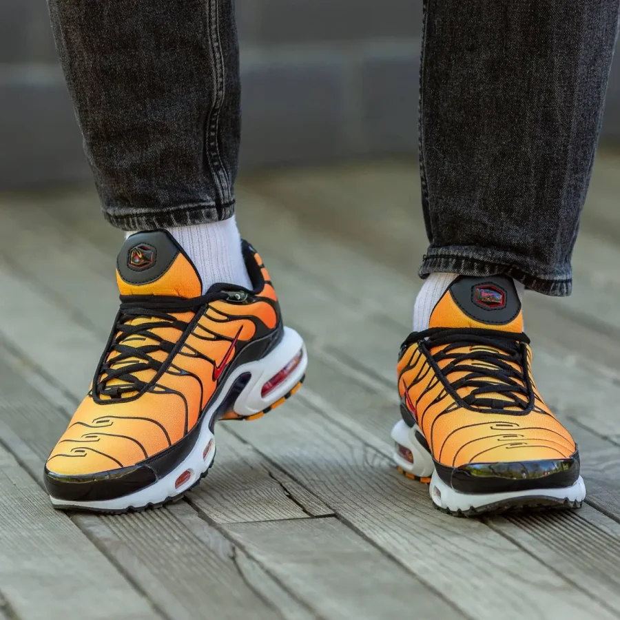 Кросівки Nike Air Max Plus TN Sunset