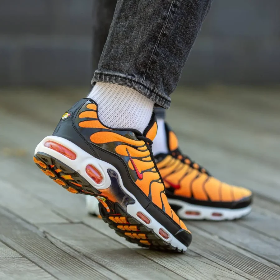 Кросівки Nike Air Max Plus TN Sunset