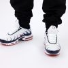 Кроссовки Nike Air Max Plus TN White/Blue/Red
