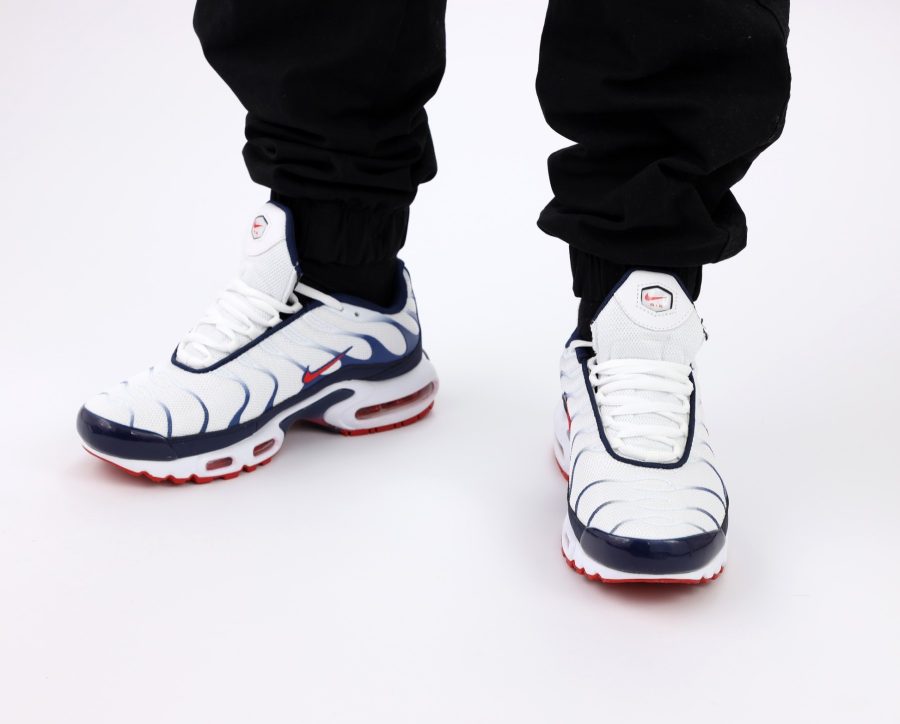 Кроссовки Nike Air Max Plus TN White/Blue/Red