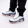Кроссовки Nike Air Max Plus TN White/Blue/Red