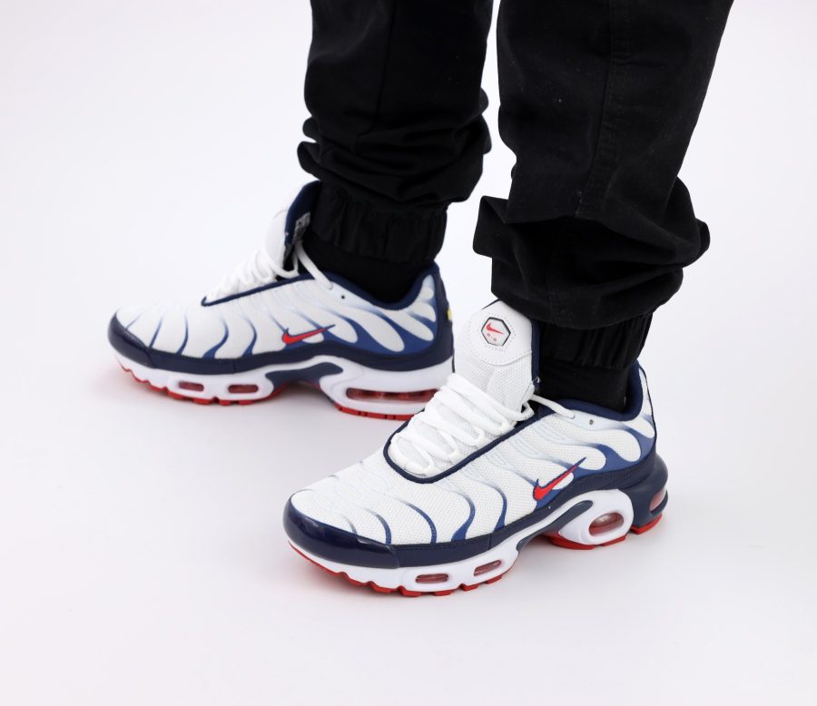 Кроссовки Nike Air Max Plus TN White/Blue/Red