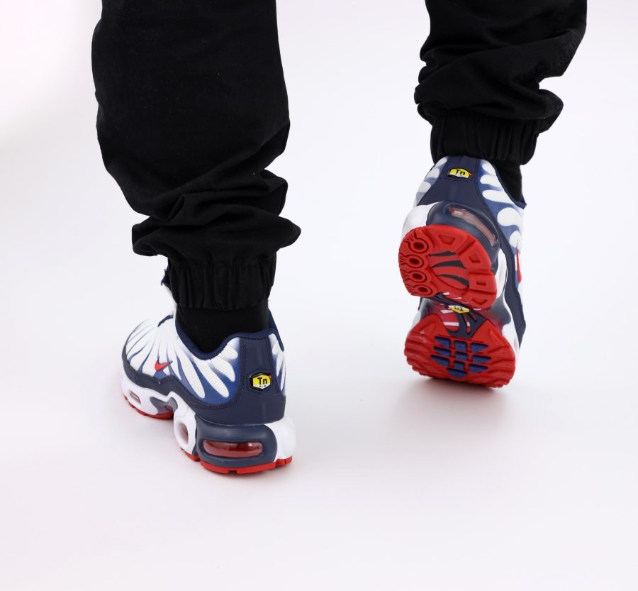 Кроссовки Nike Air Max Plus TN White/Blue/Red