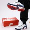 Кроссовки Nike Air Max Plus TN White/Blue/Red