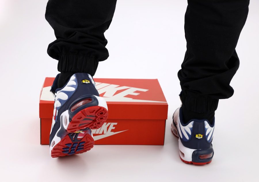 Кроссовки Nike Air Max Plus TN White/Blue/Red