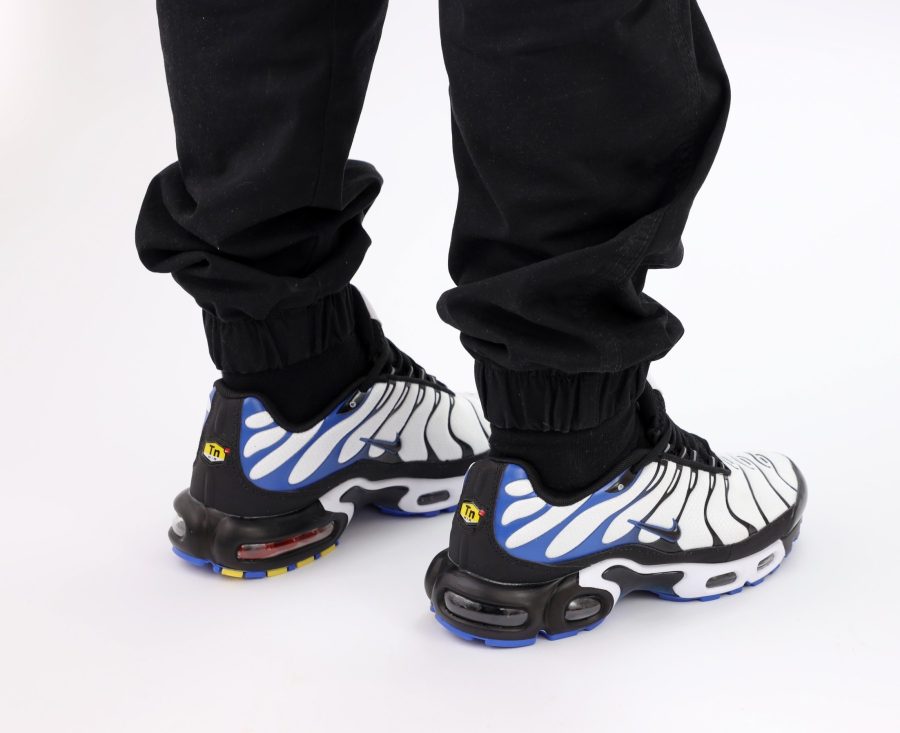 Кроссовки Nike Air Max Plus TN White/Persian Violet
