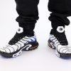 Кроссовки Nike Air Max Plus TN White/Persian Violet