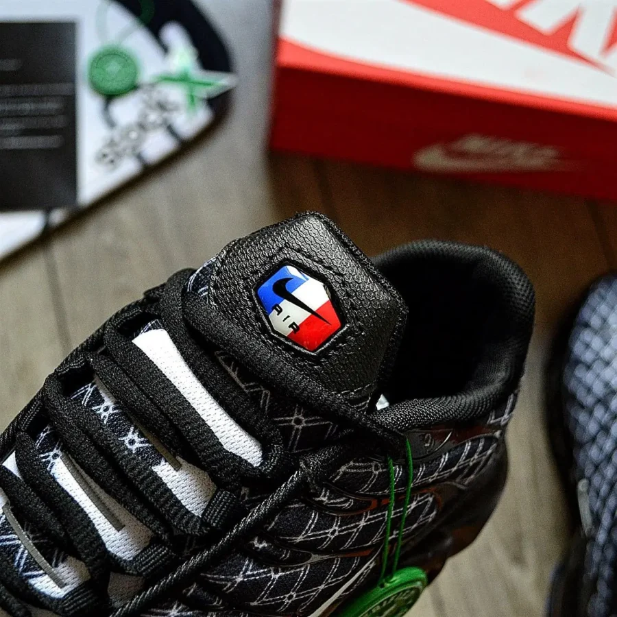 Кроссовки Nike Air Max TN Plus France