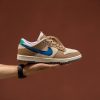Кросівки Nike Dunk Low Dark Driftwood