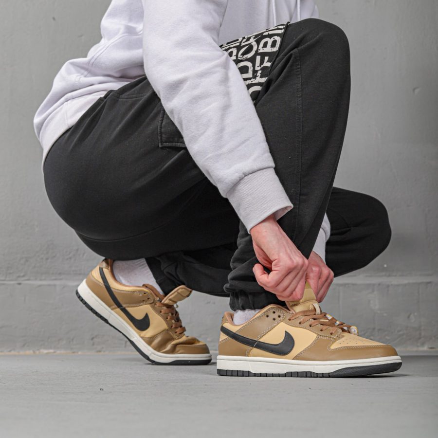 Кросівки Nike Dunk Low Brown/Beige