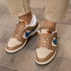 Кросівки Nike Dunk Low Dark Driftwood