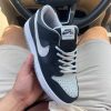 Кроссовки Nike Dunk Low SB J-Pack Shadow