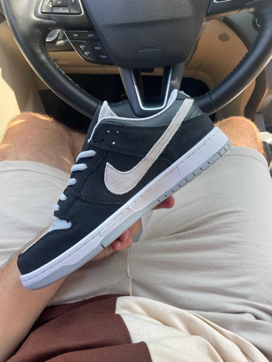 Кроссовки Nike Dunk Low SB J-Pack Shadow