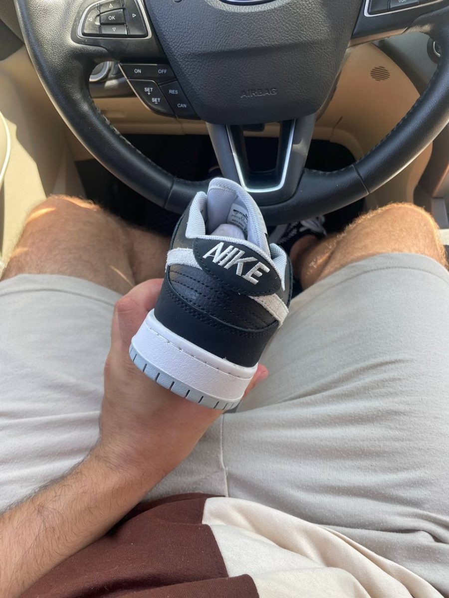 Кроссовки Nike Dunk Low SB J-Pack Shadow