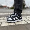 Кроссовки Nike Dunk Low Panda White/Black