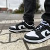Кроссовки Nike Dunk Low Panda White/Black