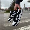 Кроссовки Nike Dunk Low Panda White/Black