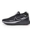 Кросівки Nike React Pegasus Trail 4 GORE-TEX Black/Silver