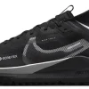 Кросівки Nike React Pegasus Trail 4 GORE-TEX Black/Silver