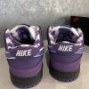 Кроссовки Nike SB Dunk Low x Concepts Purple Lobster