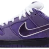 Кроссовки Nike SB Dunk Low x Concepts Purple Lobster