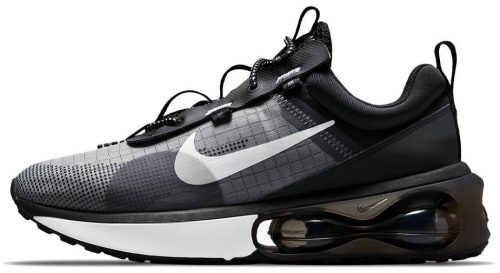 Кроссовки Nike Air Max 2021 Black/Iron Grey