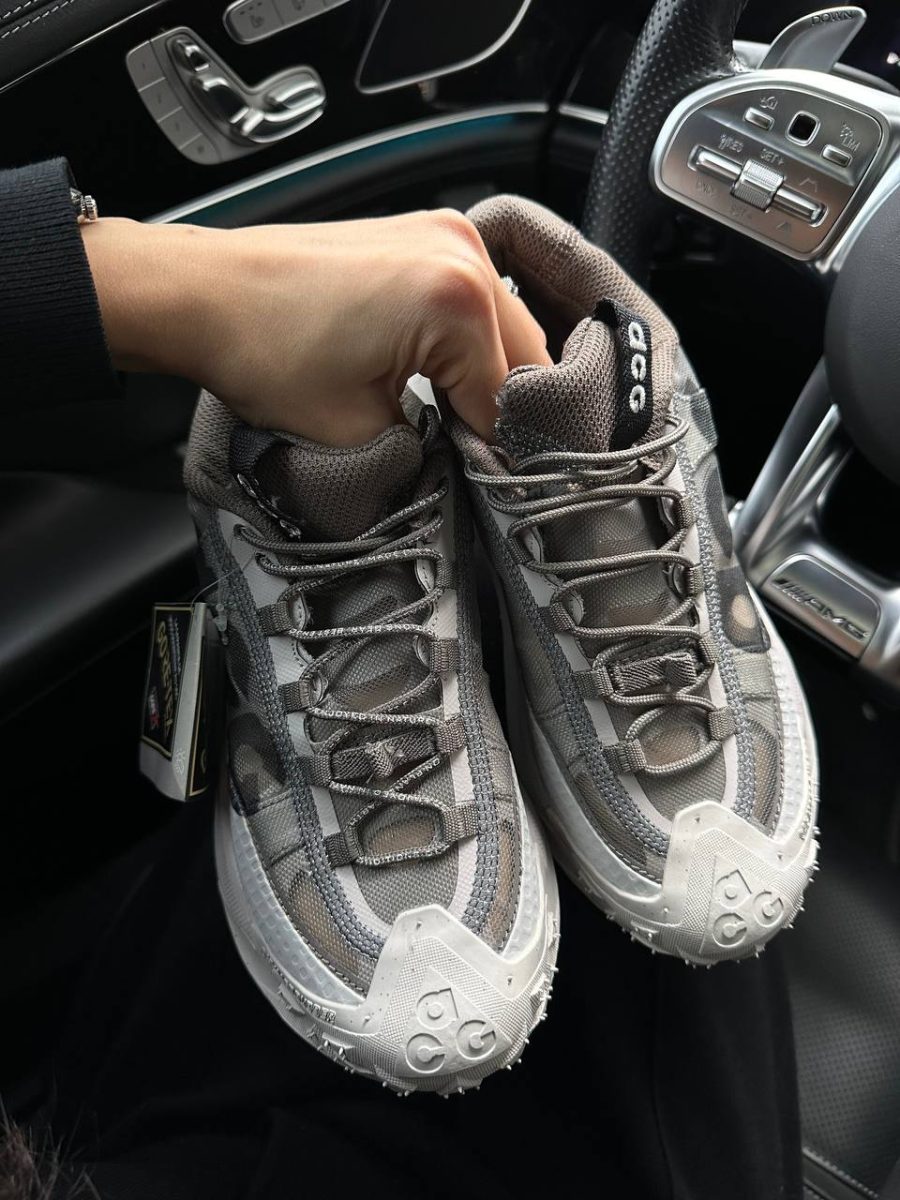 Кросівки Nike ACG Mountain Fly 2 Low Iron Ore