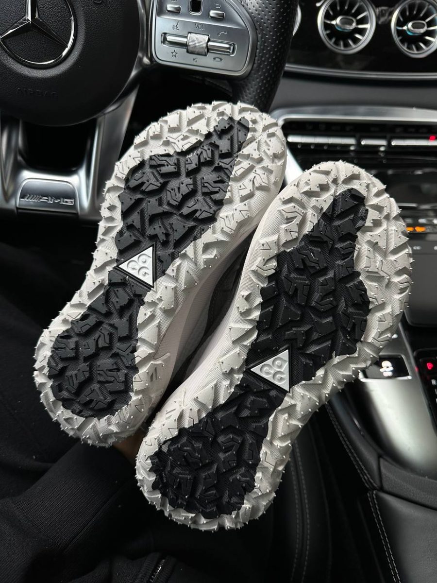 Кросівки Nike ACG Mountain Fly 2 Low Iron Ore