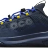 Кросівки Nike ACG Mountain Fly 2 Low Midnight Navy