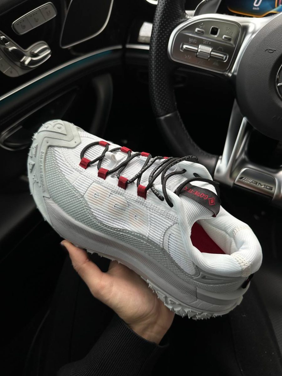Кросівки Nike ACG Mountain Fly 2 Low Phantom Light Silver