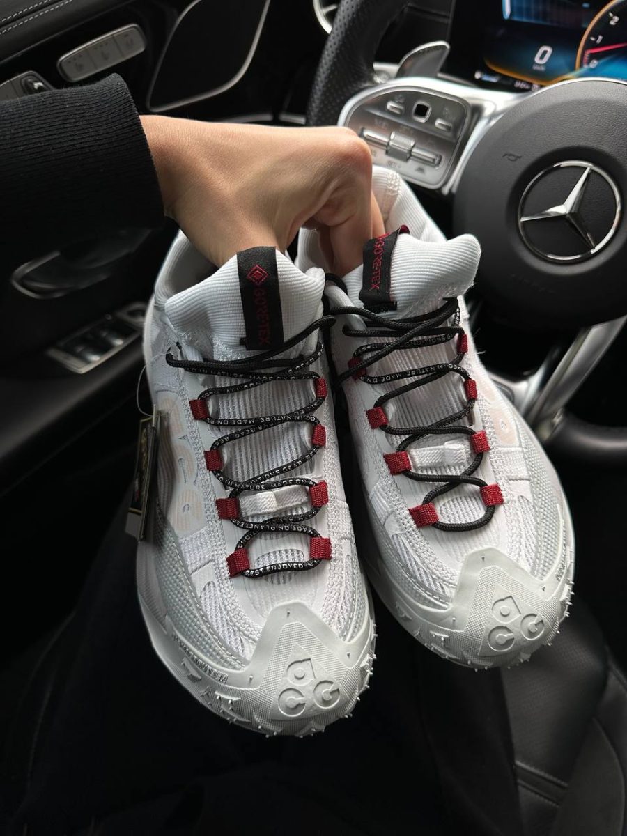 Кросівки Nike ACG Mountain Fly 2 Low Phantom Light Silver