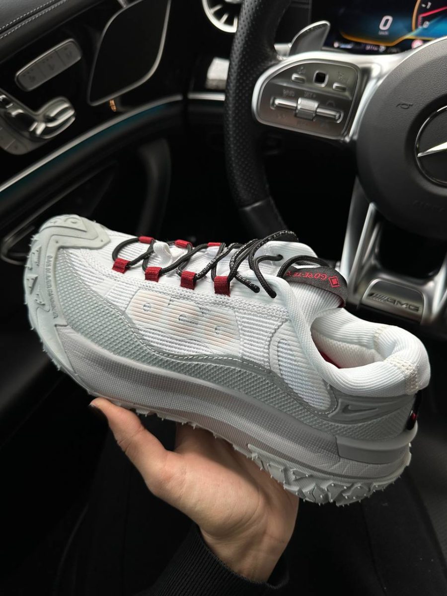 Кросівки Nike ACG Mountain Fly 2 Low Phantom Light Silver