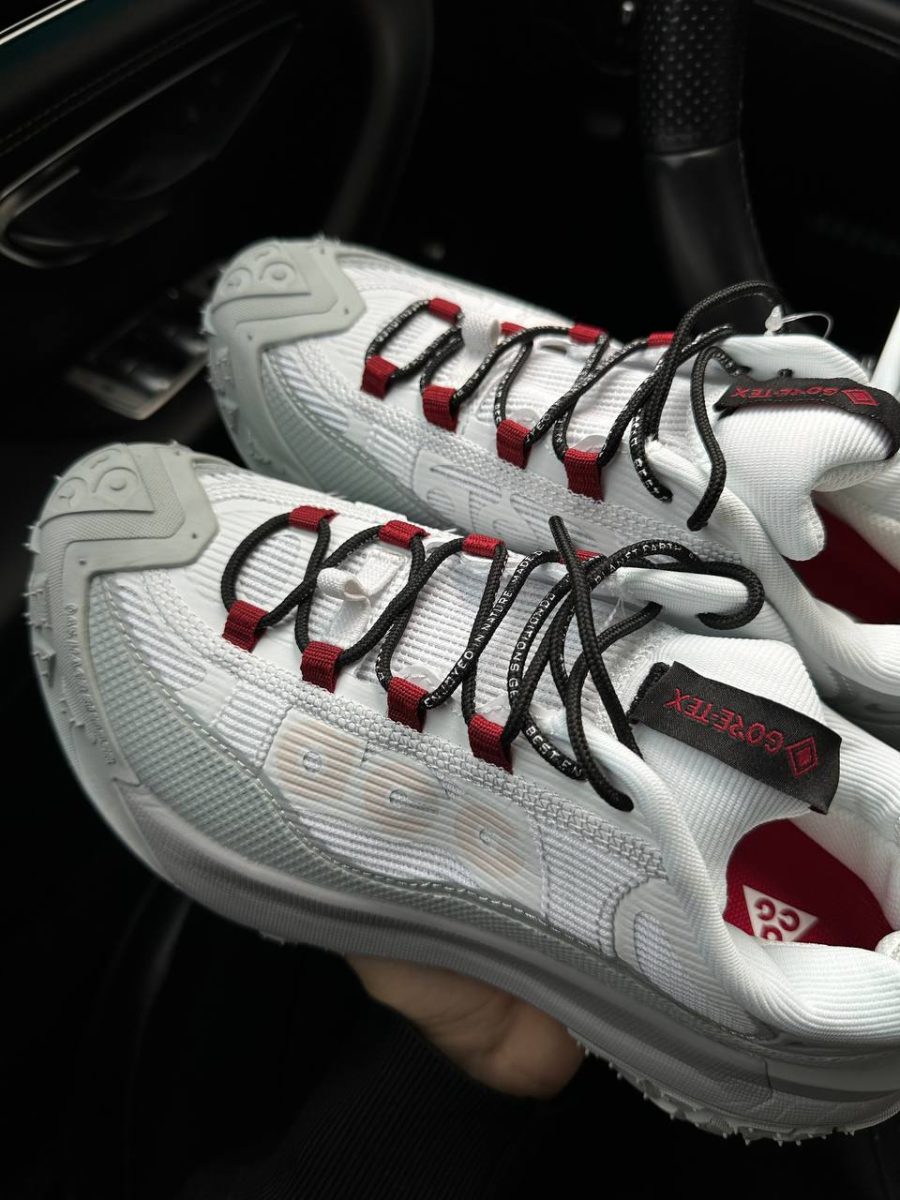 Кросівки Nike ACG Mountain Fly 2 Low Phantom Light Silver