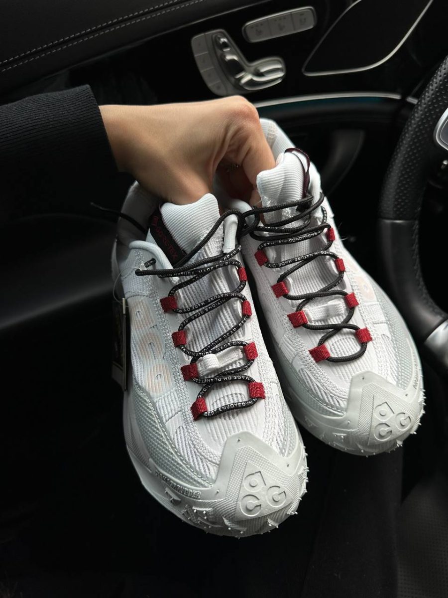 Кросівки Nike ACG Mountain Fly 2 Low Phantom Light Silver