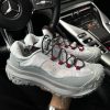 Кросівки Nike ACG Mountain Fly 2 Low Phantom Light Silver