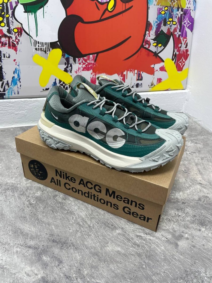 Кроссовки Nike ACG Mountain Fly Low 2 Bicoastal
