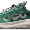 Кроссовки Nike ACG Mountain Fly Low 2 Bicoastal